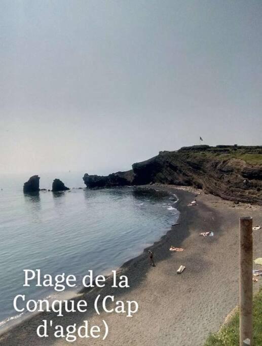 Avec Piscine Proche Plages Agde