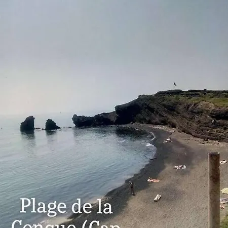 Appartement Avec Piscine Proche Plages Agde Esterno foto