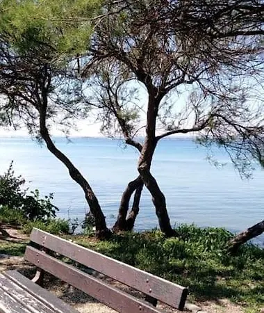 Appartement Avec Piscine Proche Plages Agde Esterno foto