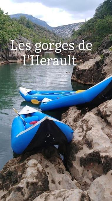 Avec Piscine Proche Plages Appartement Agde